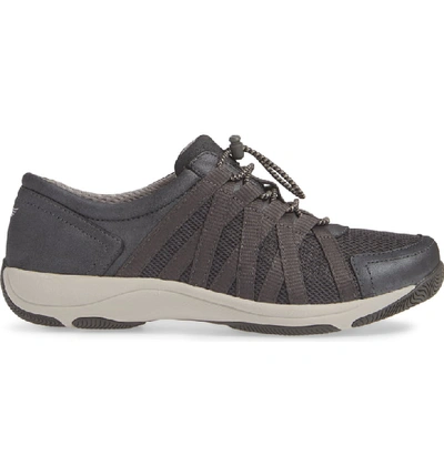 Shop Dansko Halifax Collection Honor Sneaker In Charcoal/ Charcoal Suede