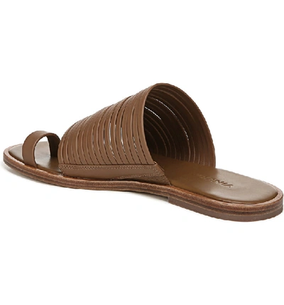 Shop Vince Penrose Toe Loop Sandal In Tan