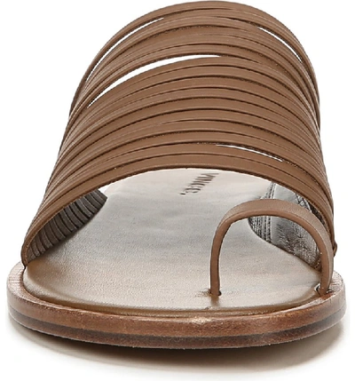 Shop Vince Penrose Toe Loop Sandal In Tan