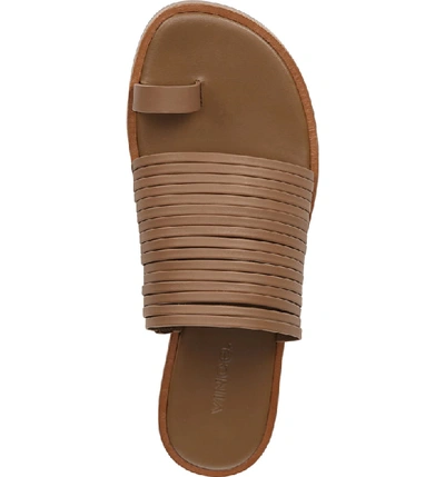 Shop Vince Penrose Toe Loop Sandal In Tan