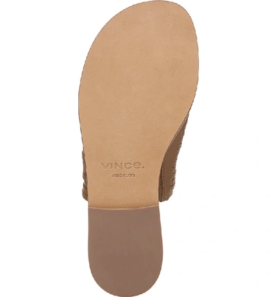 Shop Vince Penrose Toe Loop Sandal In Tan