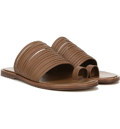 Shop Vince Penrose Toe Loop Sandal In Tan