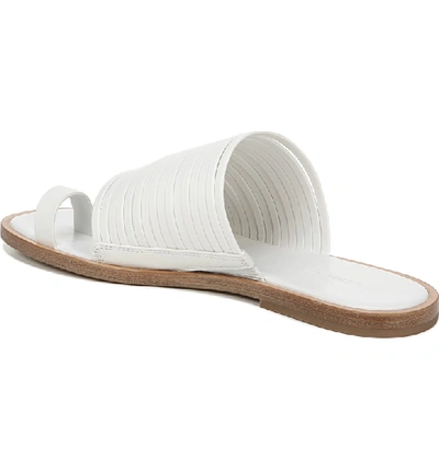 Shop Vince Penrose Toe Loop Sandal In Off White