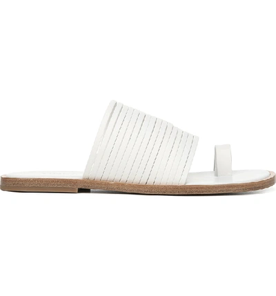 Shop Vince Penrose Toe Loop Sandal In Off White