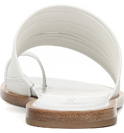 Shop Vince Penrose Toe Loop Sandal In Off White