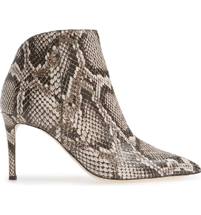 Shop Giuseppe Zanotti Snake Embossed Pointy Toe Bootie In Natural Snakeprint