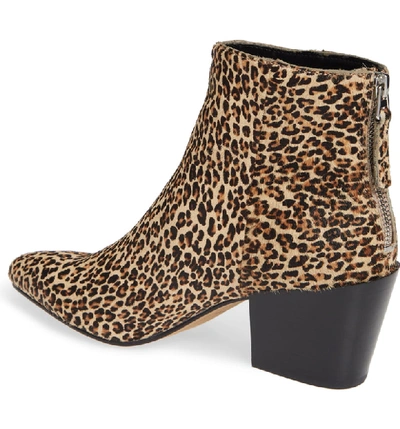 Shop Dolce Vita Coltyn Genuine Calf Hair Bootie In Leopard Calf Hair