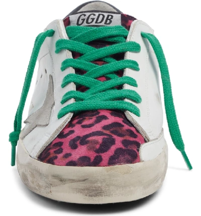 Shop Golden Goose Superstar Leopard Print Sneaker In White/ Fuschia Leopard