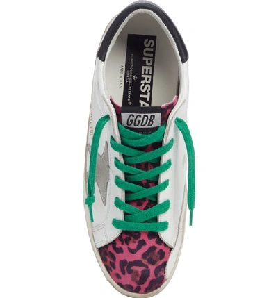 Shop Golden Goose Superstar Leopard Print Sneaker In White/ Fuschia Leopard