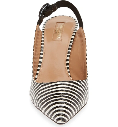 Shop Aquazzura Yale Stripe Slingback Pump In Black/ White