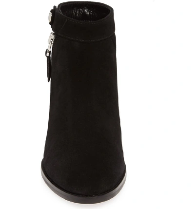 Shop Aquatalia Rose Suede Boot In Black Suede