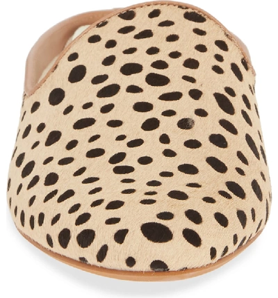 Shop Dolce Vita Grant Genuine Calf Hair Flat Mule In Leopard Print Calf Hair