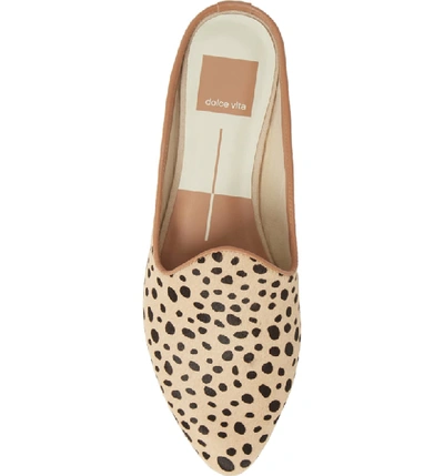 Shop Dolce Vita Grant Genuine Calf Hair Flat Mule In Leopard Print Calf Hair