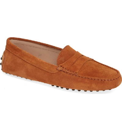 Shop Tod's Gommini Driving Moccasin In Cognac