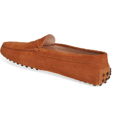 Shop Tod's Gommini Driving Moccasin In Cognac