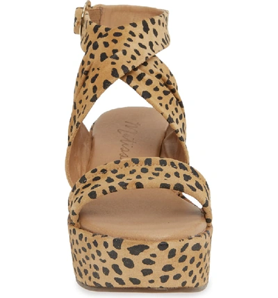 Shop Matisse Starline Platform Sandal In Leopard