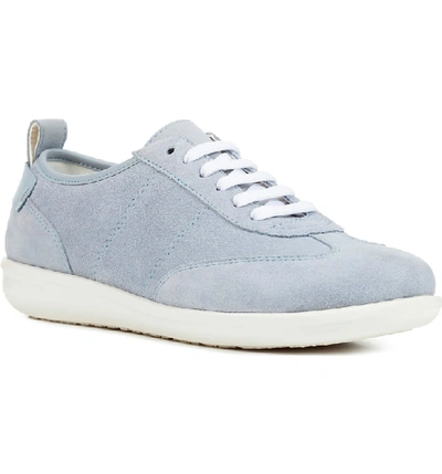 Geox Jearl Sneaker In Sage Suede | ModeSens