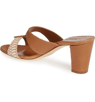Shop Manolo Blahnik Jedjulul Genuine Snakeskin Slide Sandal In Cognac Leather