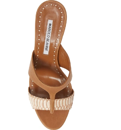 Shop Manolo Blahnik Jedjulul Genuine Snakeskin Slide Sandal In Cognac Leather