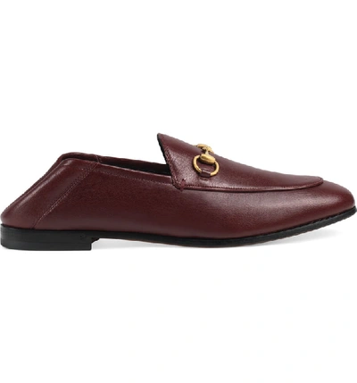 Shop Gucci Brixton Convertible Loafer In Deep Orange