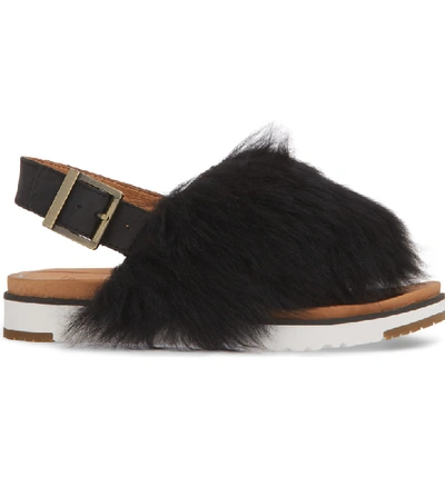 Shop Ugg Holly Genuine Shearling Sandal In Black