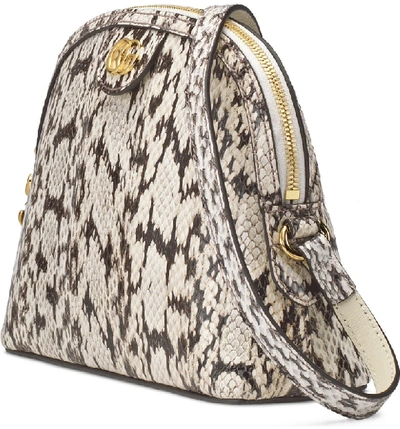 Shop Gucci Smallgenuine Snakeskin Dome Satchel In Roccia