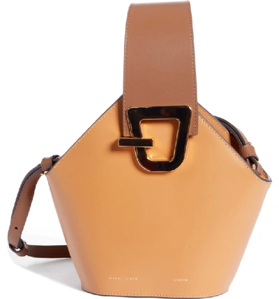 Shop Danse Lente Mini Johnny Leather Bucket Bag - Brown In Light Brown