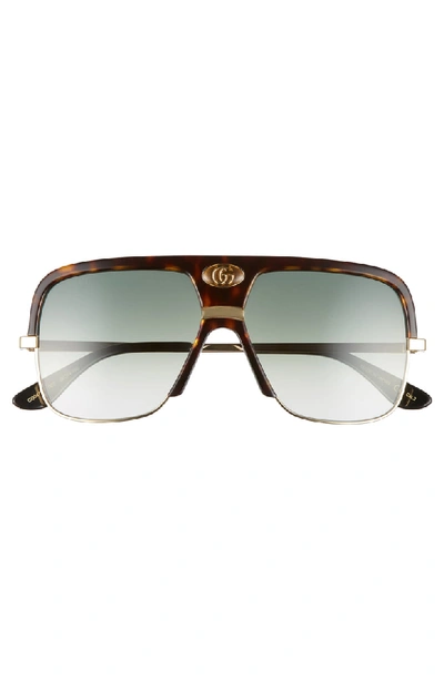 Shop Gucci 59mm Navigator Sunglasses In Dark Havana/ Green