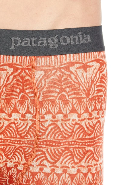 Shop Patagonia Essential Boxer Briefs In Adobe