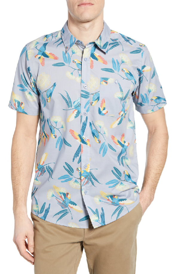 patagonia parrot shirt