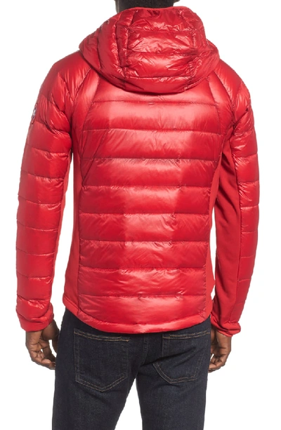 Shop Canada Goose 'hybridge(tm) Lite Hoody' Slim Fit Packable Jacket In Black / Red