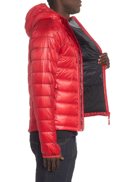 Shop Canada Goose 'hybridge(tm) Lite Hoody' Slim Fit Packable Jacket In Black / Red