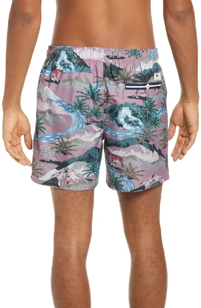 Shop Ted Baker Tasmane Tiger Slim Fit Swim Trunks In Pink