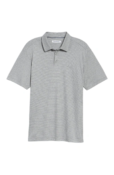 Shop Tommy Bahama Pacific Shore Polo In Shadow Heather