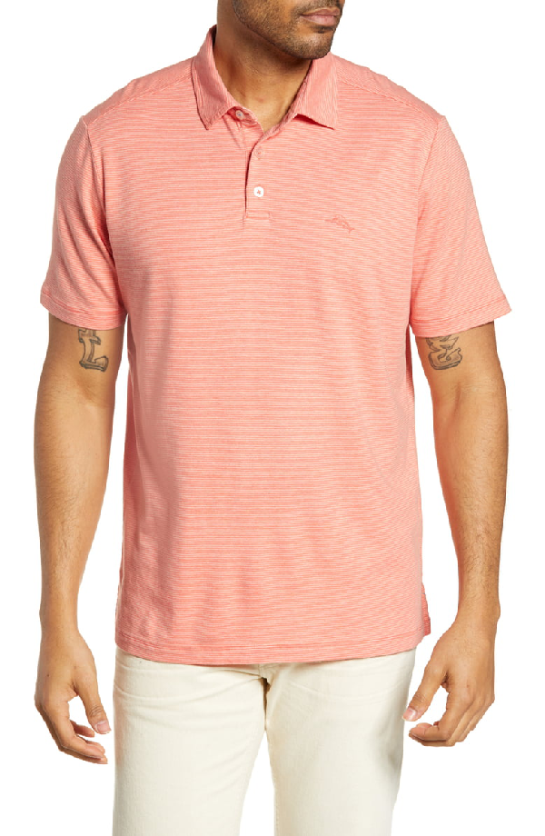 tommy bahama pacific shore polo