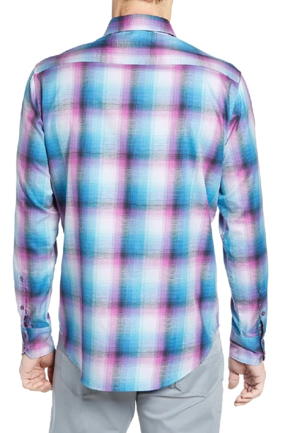 Shop Robert Graham Dion Classic Fit Check Cotton Shirt In Magenta