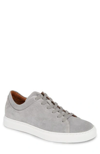 Shop Aquatalia Alaric Sneaker In Light Grey Suede