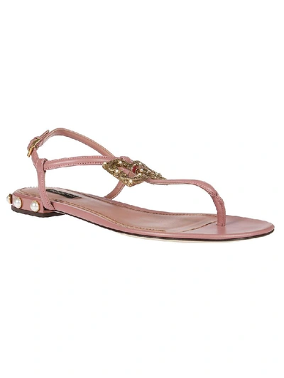 Shop Dolce & Gabbana Logo Flat Sandals In Pink
