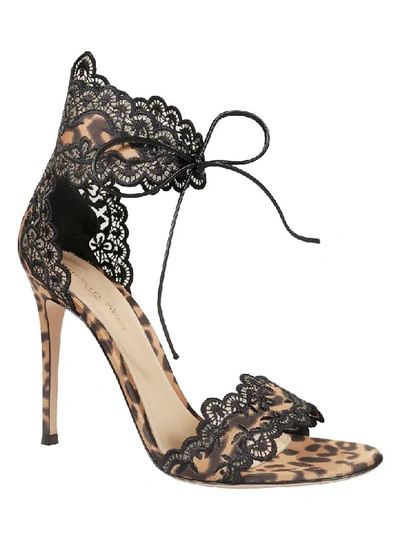 Shop Gianvito Rossi Raslepa Sandals In Leopard