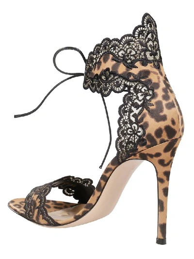 Shop Gianvito Rossi Raslepa Sandals In Leopard
