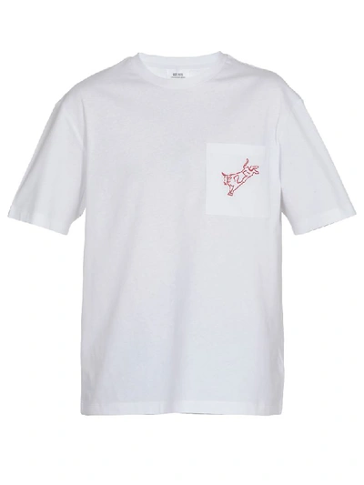 Shop Calvin Klein Cotton T-shirt In White/bull Red