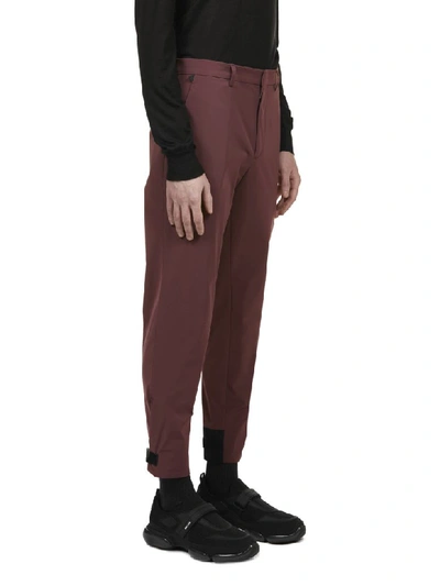 Shop Prada Trousers In Amarena