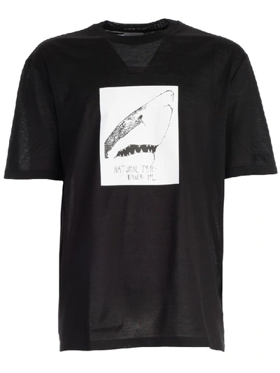 Shop Lanvin Shark T-shirt In Black