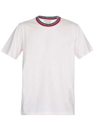 Shop Marni Cotton T Shirt In Rosa Chiaro