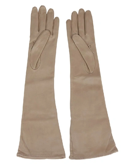 Shop Semicouture Erica Cavallini Long Gloves In Sabbia