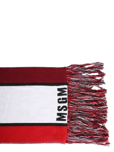 Shop Msgm Scarf With Jacquard Lettering In Multicolor