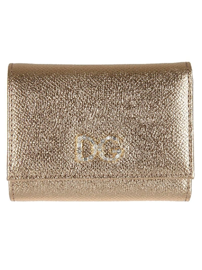 Shop Dolce & Gabbana Crystal Dg Wallet In Oro Antico