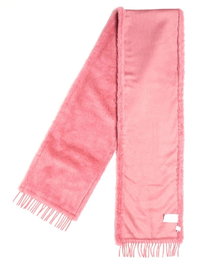 Shop Max Mara Alceste Scarf In Pink