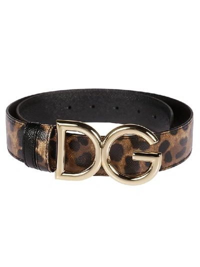 Shop Dolce & Gabbana Leopard Print Logo Plaque Belt