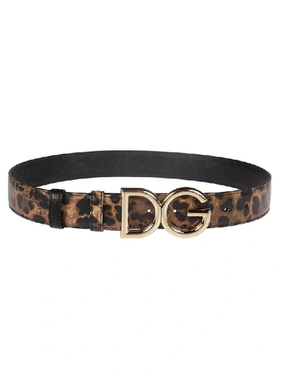 Shop Dolce & Gabbana Leopard Print Logo Plaque Belt